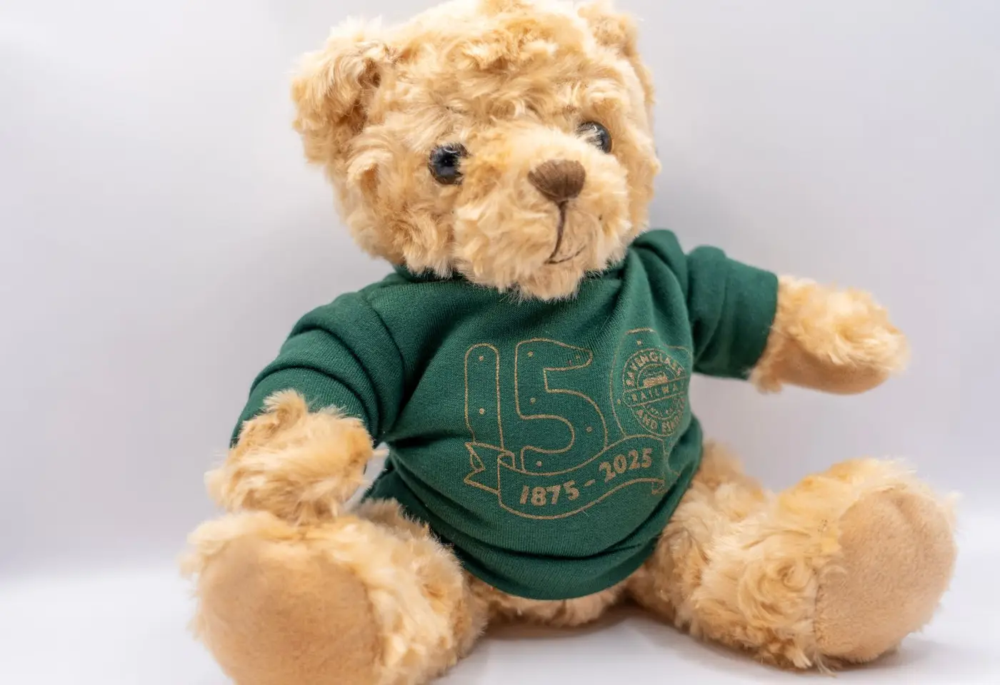 Ravenglass 150th Birthday Bear - Green Jumper
