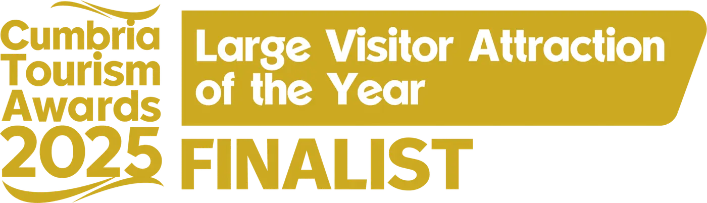 CTA25-Finalist-LargeVisitor
